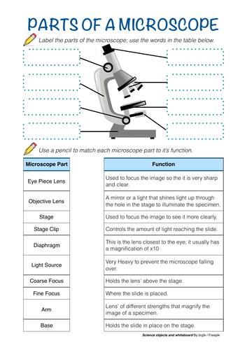 parts of a microscope worksheet answers