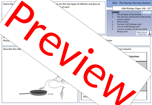 New AQA (2016) Biology B10 The Human Nervous System - Revision Sheet