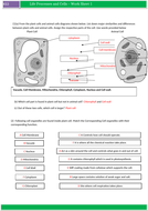 ks3 science worksheets for cell cell specialism and movement of