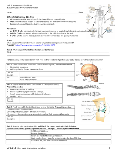 IGCSE PE (spec 2018) 1.2. Joint types, structure & formation