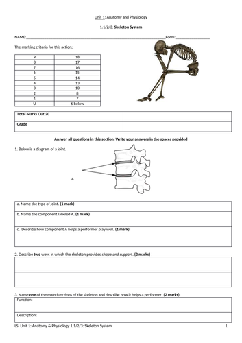 IGCSE PE (new spec 2018) 1-6 The Skeletal System Exam