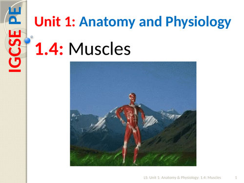 IGCSE PE (spec 2018) 1.4. Muscles