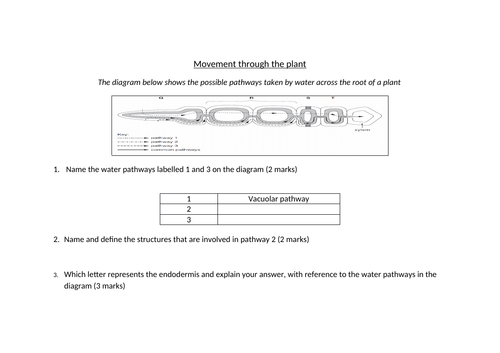 OCR A-level Biology Module 3 REVISION (Exchange and Transport ...