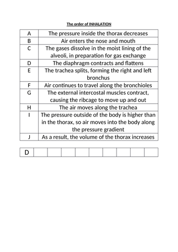 OCR A-level Biology Module 3 REVISION (Exchange and Transport ...