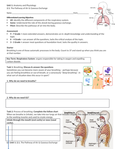 IGCSE PE (new spec 2018) 2.1. The Pathway of Air & Gaseous Exchange ...