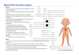 Blood The Circulatory System Crossword EDEXCEL GCSE (9 1) Combined