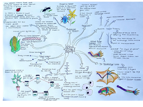 SB4 Natural Selection & Evolution Revision Mindmap Edexcel