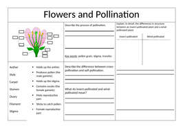 pollination fertilisation and germination ks3 worksheet teaching