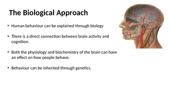 biological approach psychology