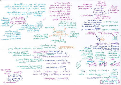 Bioenergetics Revision Mat