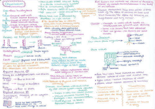 Organisation Revision Mat