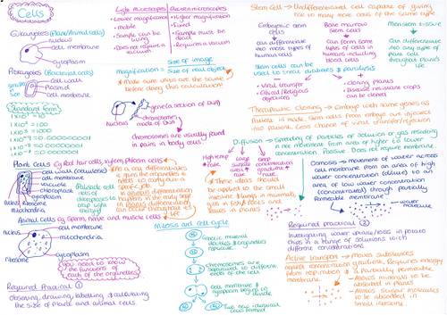 Cells Revision Mat