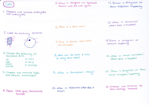 Cells Question Sheet