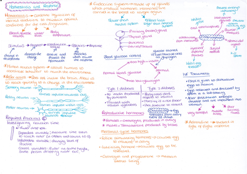 Homeostasis and Response Revision Mat