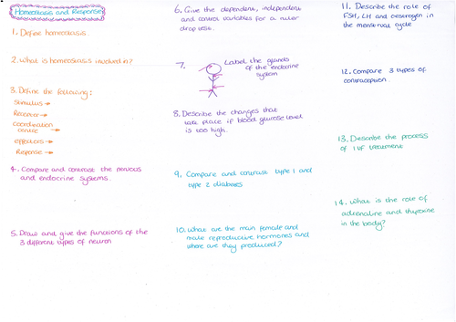 Homeostasis and Response Question Mat