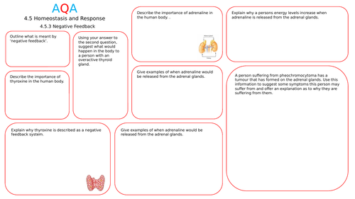 Home Learning Revision -  Hormonal Coordination (Negative Feedback) -  AQA Trilogy Higher (Biology)