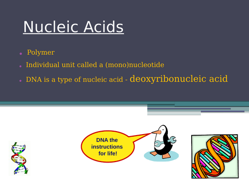 Nucleic Acids and DNA | Teaching Resources