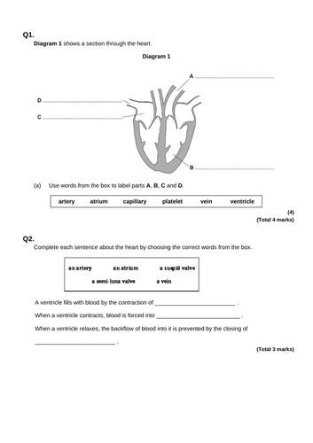 aqa-gcse-b4-organising-animals-and-plants-selection-of-exam-questions