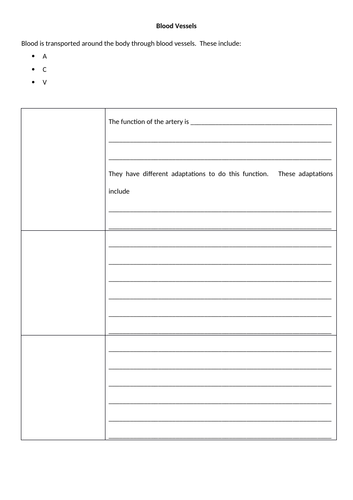 docx, 13.6 KB