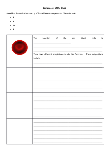 docx, 702.98 KB