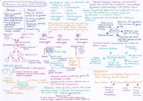 Inheritance and Evolution Revision Mat