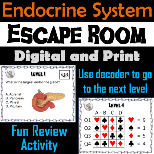 Endocrine System: Escape Room - Science: Anatomy