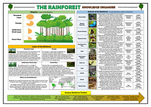Rainforests KS2 Knowledge Organiser!