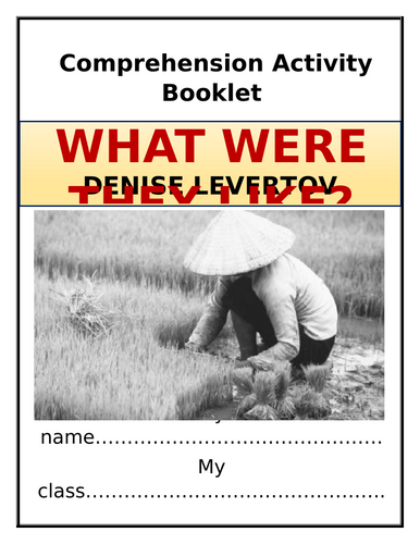 What Were They Like? Comprehension Activities Booklet!