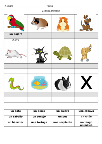 en mi familia year 7 spanish worksheets teaching resources