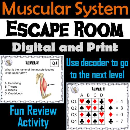 Muscular System Escape Room - Science: Anatomy