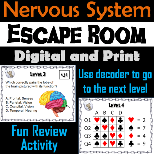 Nervous System Escape Room - Science: Anatomy