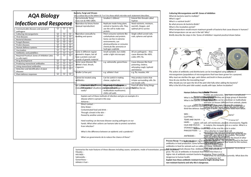 docx, 891.82 KB