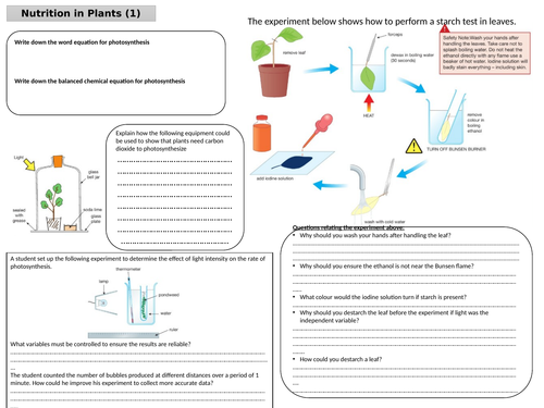 Edexcel IGCSE Biology 9-1 Revision Mat - Nutrition in Plants, including ...