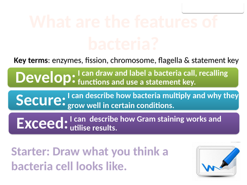 8Dc Bacteria (Exploring Science)