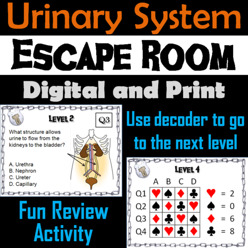 Urinary System Escape Room - Science: Anatomy