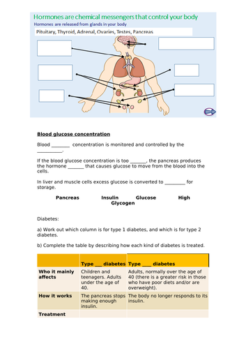 docx, 263.49 KB