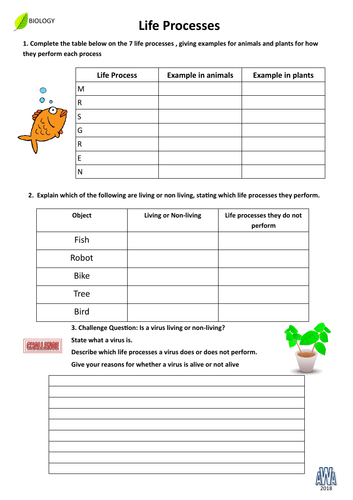 year 7 biology life processes homework sheet and answer sheet teaching resources