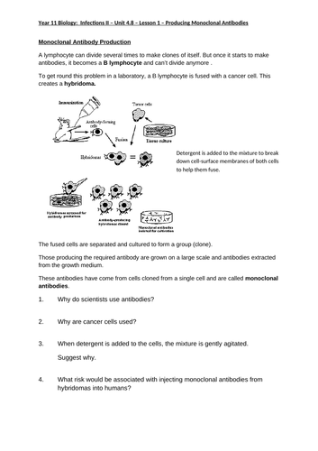 docx, 47.04 KB