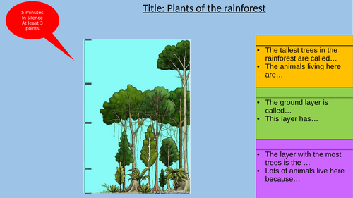 Human geography of brazil picture