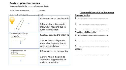 Triple part of Biology required practical exam style questions (both higher and foundation tiers)