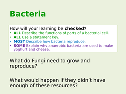 Exploring Science 8D- Unicellular Organisms | Teaching Resources