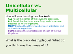 Exploring Science 8D- Unicellular Organisms by fosterpaul | Teaching ...