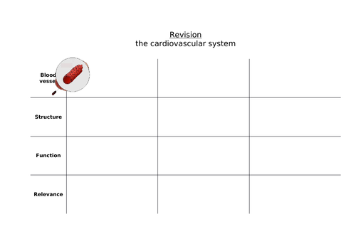 GCSE PE Revision - The Heart + Blood Vessels | Teaching Resources