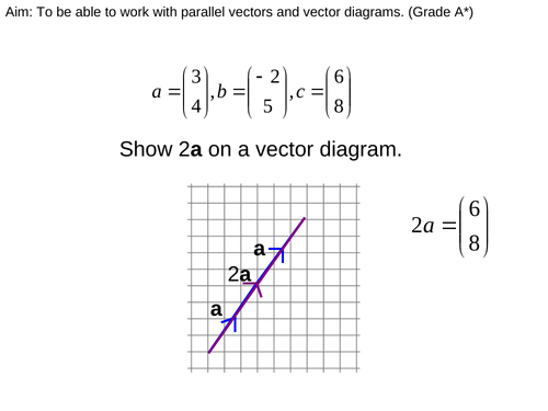 GCSE Edexcel Maths Shapes Vectors | Teaching Resources