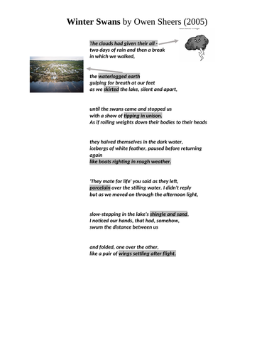 Winterswans- Excellent worksheet for low ability/ EAL/ SEND pupils for ...