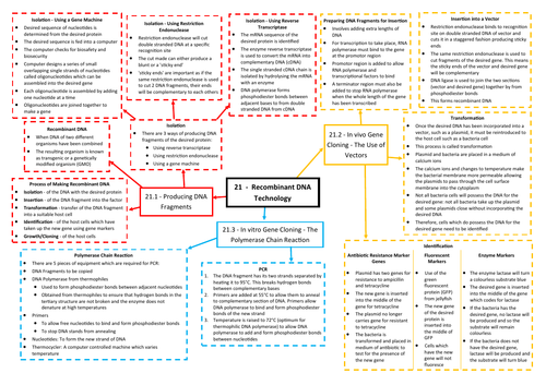 Recombinant DNA Technology Revision Mind Map - AQA AS/A Level Biology (7401/7402)