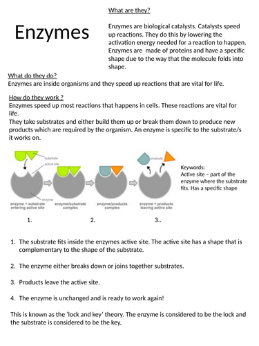 AQA 9-1 Biology Enzymes AFL Task and Handout | Teaching Resources