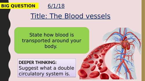 AQA new specification-The blood vessels-B4.2