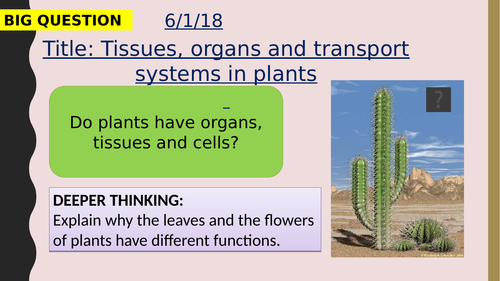 AQA new specification-Tissues, organs and transport systems in plants-B4.6 + B4.7