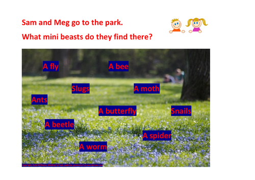 Yr 1 Phonics Fun - Mini-beasts